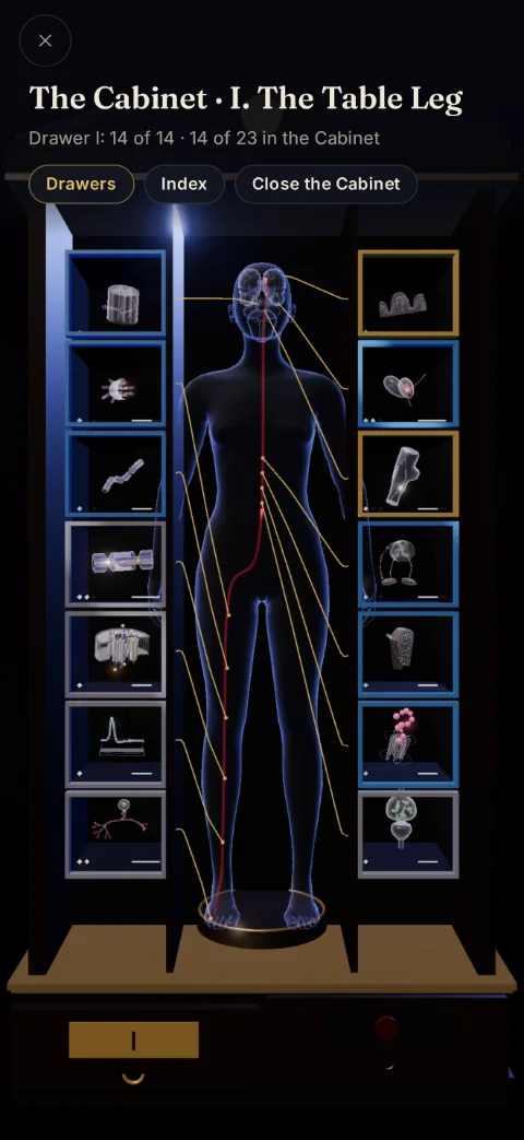 the Cabinet: a glowing human figure between drawers holding 3D specimens of neurons, synapses and brain structures from Chapter I